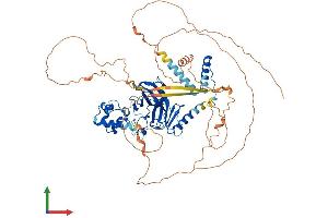 Protein Structure (PS) image for Tumor Protein P63 (TP63) (AA 1-680) protein (His tag) (ABIN7554832)