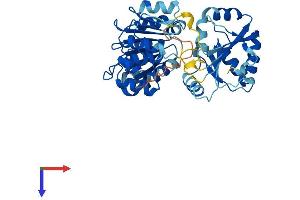 EIF4A2 Protein (AA 1-407) (His tag)
