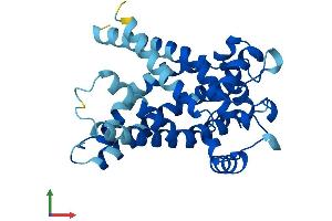 Protein Structure (PS) image for Solute Carrier Family 25 (Mitochondrial Carrier, Adenine Nucleotide Translocator), Member 5 (SLC25A5) (AA 1-298) protein (His tag) (ABIN7563402)