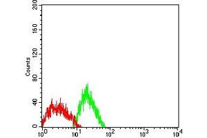 Flow cytometric analysis of SK-N-SH cells using GPC3 mouse mAb (green) and negative control (red). (Glypican 3 抗体  (AA 359-554))