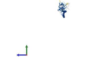 Protein Structure (PS) image for Homer Homolog 2 (HOMER2) (AA 1-354) protein (His tag) (ABIN7548350)