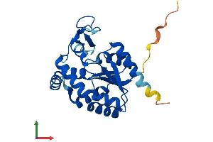 Protein Structure (PS) image for Adenylate Kinase 2 (AK2) (AA 1-239) protein (His tag) (ABIN7548728)
