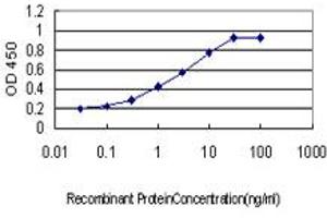 Detection limit for recombinant GST tagged PITX1 is approximately 0. (PITX1 抗体  (AA 225-313))