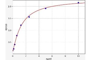 Typical standard curve (Prss29 ELISA 试剂盒)
