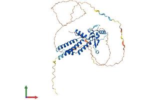 Protein Structure (PS) image for Transcription Factor AP-2 alpha (Activating Enhancer Binding Protein 2 Alpha) (TFAP2A) (AA 1-437) protein (His tag) (ABIN7552307)