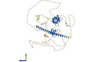 Protein Structure (PS) image for CD2-Associated Protein (Cd2ap) (AA 1-639) protein (His tag) (ABIN7553220)