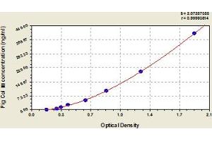 ELISA image for Collagen, Type III (COL3) ELISA Kit (ABIN6975763)