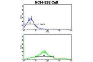Flow Cytometry (FACS) image for anti-Cadherin 7 (CDH7) antibody (ABIN2998181) (Cadherin 7 抗体)