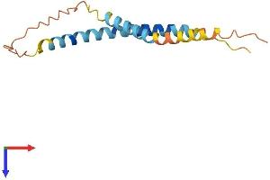 SMIM23 (AA 1-136) protein (His tag)