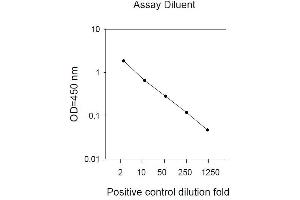 Image no. 2 for Epidermal Growth Factor Receptor (EGFR) ELISA Kit (ABIN625235) (EGFR ELISA 试剂盒)