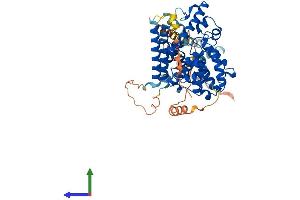 Protein Structure (PS) image for phosphodiesterase 1B, Calmodulin-Dependent (PDE1B) (AA 1-536) protein (His tag) (ABIN7550688)