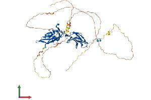 Protein Structure (PS) image for V-Rel Reticuloendotheliosis Viral Oncogene Homolog B (RELB) (AA 1-579) protein (His tag) (ABIN7555161)