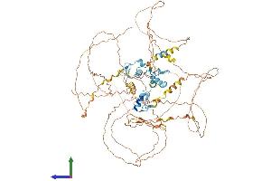 Protein Structure (PS) image for ATM Interactor (ATMIN) (AA 1-818) protein (His tag) (ABIN7564103)