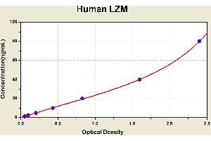 Diagramm of the ELISA kit to detect Human LZMwith the optical density on the x-axis and the concentration on the y-axis. (LYZ ELISA 试剂盒)