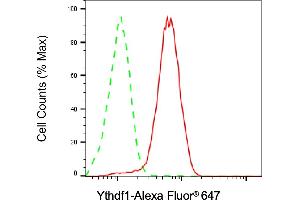 Flow cytometric analysis of Ythdf1 expression in HAP-1 cells using Ythdf1 antibody (ABIN7800885), 1:2,000). (Recombinant YTHDF1 抗体)