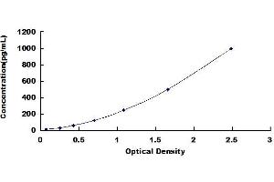 Typical standard curve (Osteocrin ELISA 试剂盒)