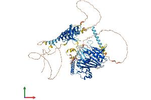 Protein Structure (PS) image for Oxysterol Binding Protein-Like 3 (OSBPL3) (AA 1-887) protein (His tag) (ABIN7554838)
