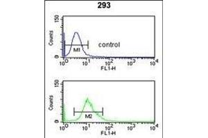 CYP3A43 Antibody (Center) (ABIN652422 and ABIN2842088) flow cytometry analysis of 293 cells (bottom histogram) compared to a negative control cell (top histogram).