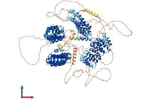 Protein Structure (PS) image for Cytoplasmic Linker Associated Protein 1 (CLASP1) (AA 1-1535) protein (His tag) (ABIN7564242)