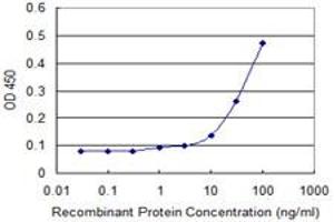 Detection limit for recombinant GST tagged FLJ23834 is approximately 1ng/ml as a capture antibody. (ALT 抗体  (AA 1-496))