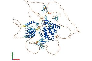 Protein Structure (PS) image for rho GTPase Activating Protein 27 (ARHGAP27) (AA 1-889) protein (His tag) (ABIN7555230)