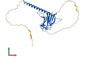 AlphaFold protein structure predicition of Mouse Recombinant Tnfsf13b Protein, UniprotID Q9WU72 (BAFF Protein (AA 1-309) (His tag))