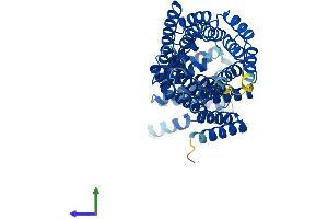 AlphaFold protein structure predicition of Human Recombinant IFIT1B Protein, UniprotID Q5T764 (IFIT1B Protein (AA 1-474) (His tag))