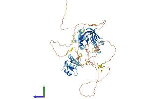Protein Structure (PS) image for SHC (Src Homology 2 Domain Containing) Transforming Protein 1 (SHC1) (AA 1-579) protein (His tag) (ABIN7563568)
