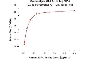 ELISA image for Insulin-Like Growth Factor 1 Receptor (IGF1R) (AA 31-932) protein (His tag) (ABIN6253546)