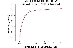 Immobilized Cynomolgus IGF-I R, His Tag (ABIN6253205,ABIN6253546) at 5 μg/mL (100 μL/well) can bind Human IGF-I, Fc Tag (ABIN2181263,ABIN2181262) with a linear range of 0.