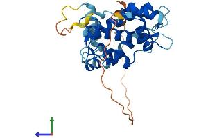 Protein Structure (PS) image for Calpain, Small Subunit 2 (CAPNS2) (AA 1-247) protein (His tag) (ABIN7561088)