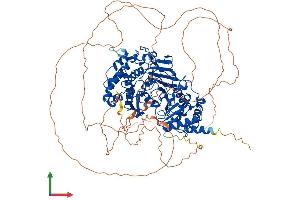 AlphaFold protein structure predicition of Mouse Recombinant Parg Protein, UniprotID O88622