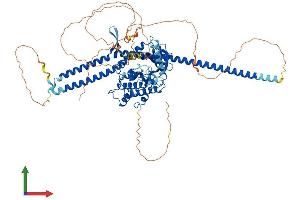 AlphaFold protein structure predicition of Human Recombinant TLK1 Protein, UniprotID Q9UKI8 (TLK1 Protein (AA 1-766) (His tag))