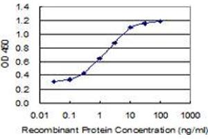 Detection limit for recombinant GST tagged IGFBP3 is 0. (IGFBP3 抗体  (AA 182-291))