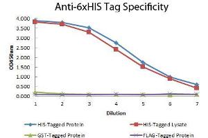 ELISA of Mouse anti-6xHIS Tag Antibody. (His Tag 抗体  (HRP))