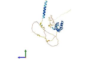 Protein Structure (PS) image for TGFB-Induced Factor Homeobox 1 (TGIF1) (AA 1-272) protein (His tag) (ABIN7556687)