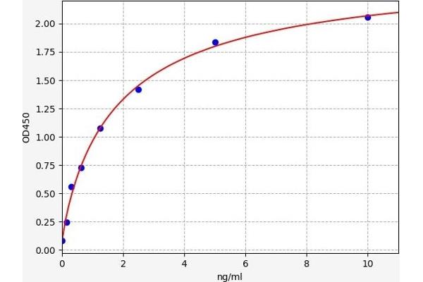 LRP1 ELISA 试剂盒