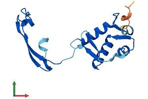 AlphaFold protein structure predicition of Human Recombinant FKBP9P1 Protein, UniprotID Q75LS8