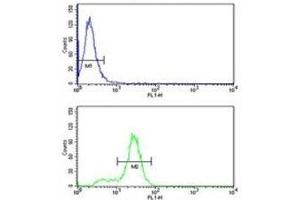 Keratin-14 antibody flow cytometry analysis of MDA-MB231 cells (bottom histogram) compared to a negative control (top histogram). (KRT14 抗体  (AA 276-303))