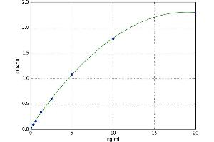 A typical standard curve
