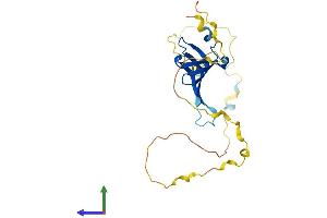 Protein Structure (PS) image for Small Nuclear Ribonucleoprotein Polypeptides B and B1 (SNRPB) (AA 1-231) protein (His tag) (ABIN7563022)