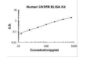 Typical Standard Curve