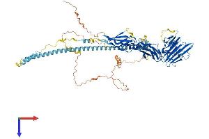 AlphaFold protein structure predicition of Human Recombinant FSD2 Protein, UniprotID A1L4K1