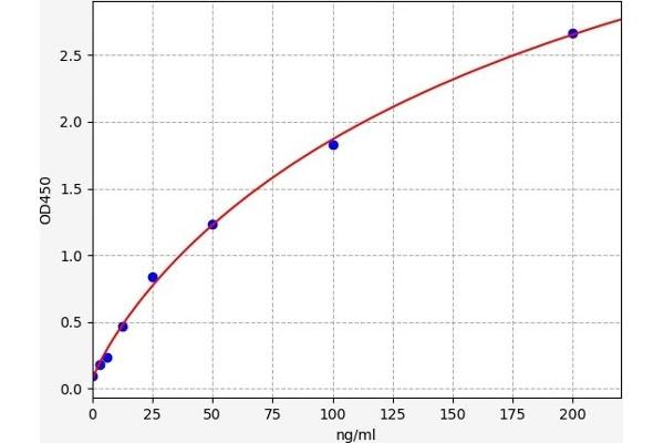 F12 ELISA 试剂盒