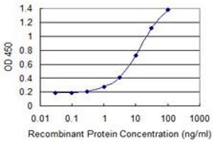 Detection limit for recombinant GST tagged HNF4A is 0. (HNF4A 抗体  (AA 324-423))