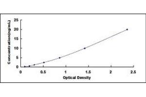 Typical standard curve (Merlin ELISA 试剂盒)