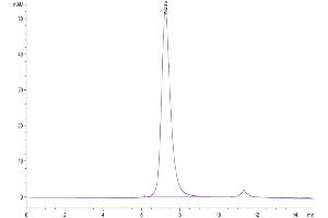 Size-exclusion chromatography-High Pressure Liquid Chromatography (SEC-HPLC) image for Fc Fragment of IgG, Low Affinity IIIa, Receptor (CD16a) (FCGR3A) (AA 17-208) protein (His-Avi Tag,Biotin) (ABIN7274282)