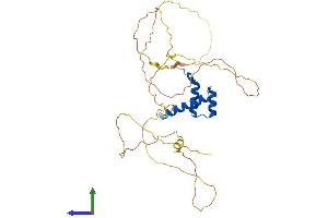 Protein Structure (PS) image for Distal-Less Homeobox Protein 2 (DLX2) (AA 1-332) protein (His tag) (ABIN7563216)