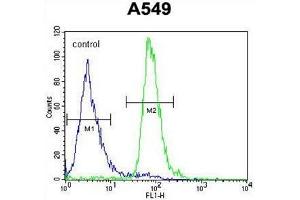 Flow Cytometry (FACS) image for anti-Arachidonate 12-Lipoxygenase, 12R Type (ALOX12B) (AA 629-660), (C-Term) antibody (ABIN950354)