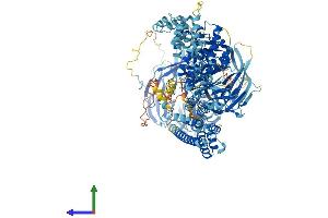 Protein Structure (PS) image for Elongator Complex Protein 1 (ELP1) (AA 1-1333) protein (His tag) (ABIN7564223)